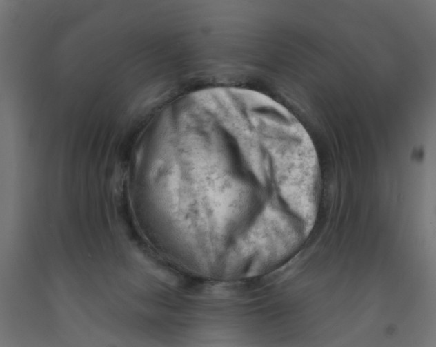 X0000090890078200708242010