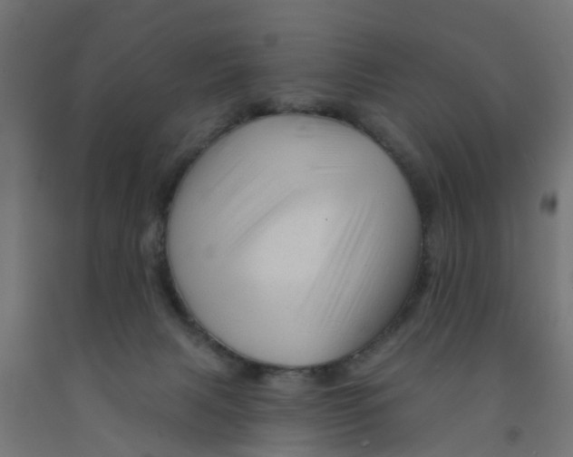 X0000090890079200708242011