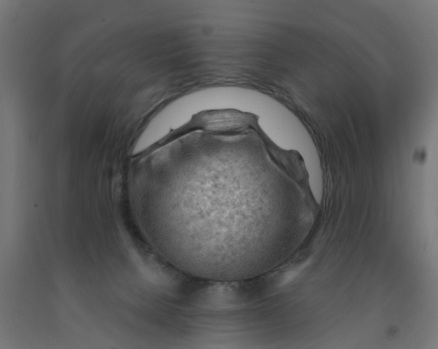 X0000090890080200708242011