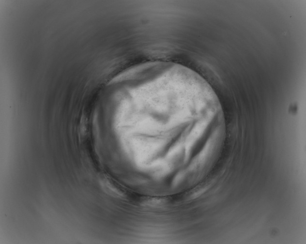 X0000090890081200708242011