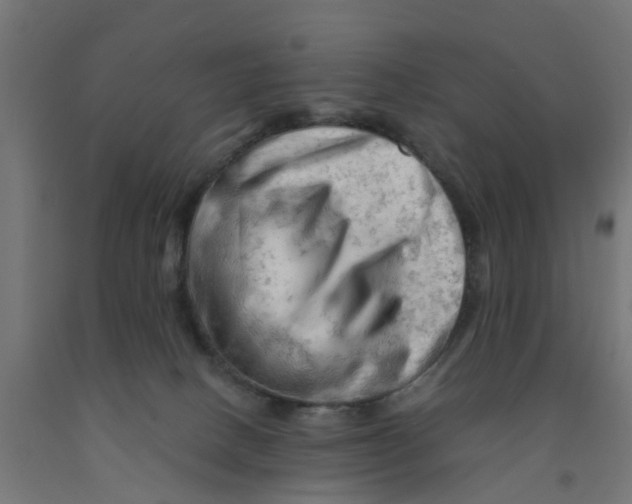 X0000090890082200708242011