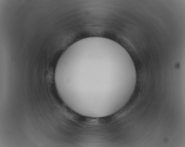 X0000090890083200708242011