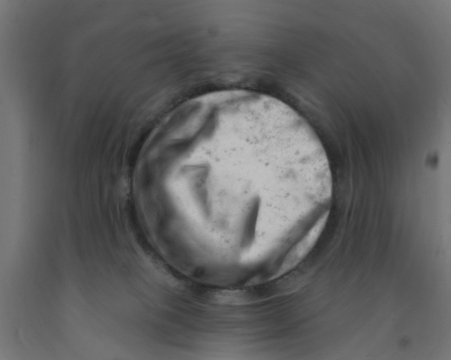 X0000090890085200708242011