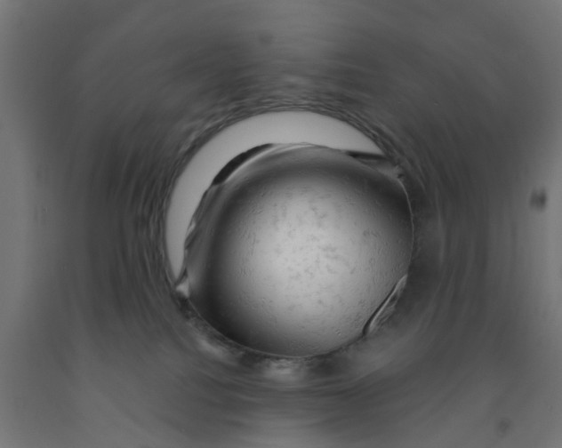 X0000090890088200708242011