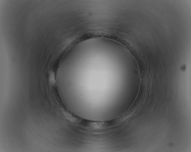 X0000090890089200708242011