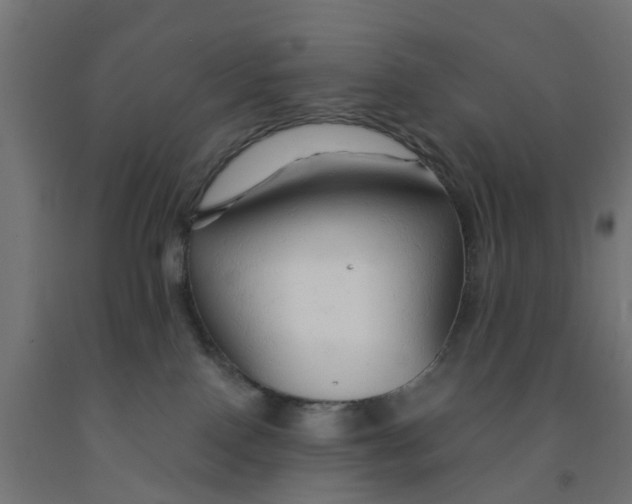 X0000090890090200708242011