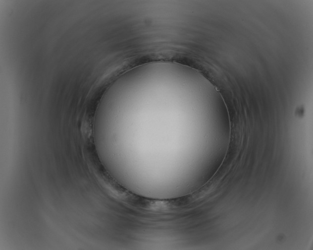 X0000090890091200708242011