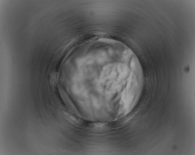 X0000090890093200708242011