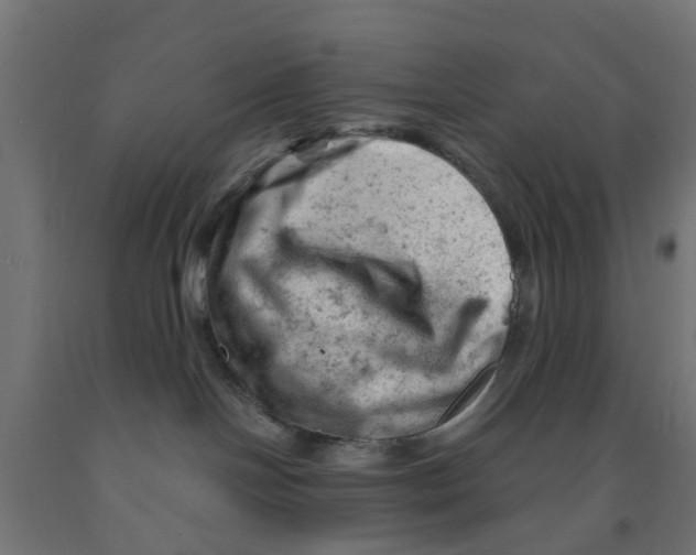 X0000090890094200708242011