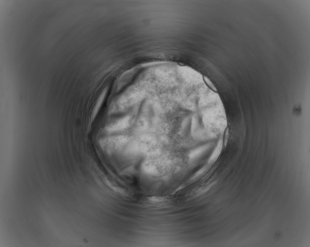 X0000090890095200708242011