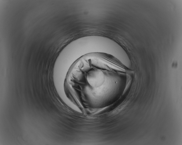 X0000090890096200708242011