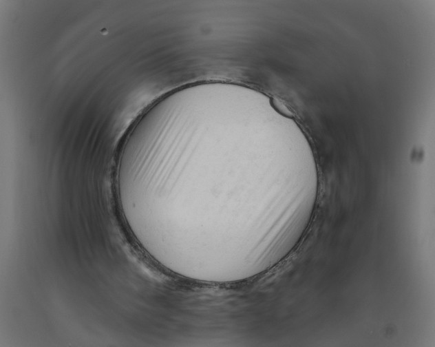 X0000090890098200708242010