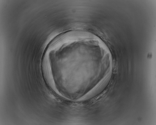 X0000090890099200708242010