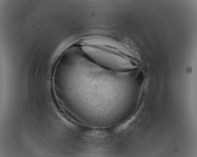 X0000090890101200708242010