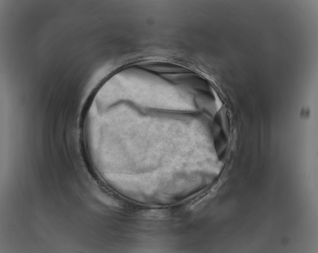 X0000090890102200708242010