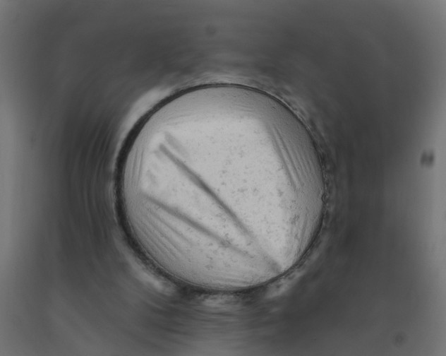 X0000090890104200708242010