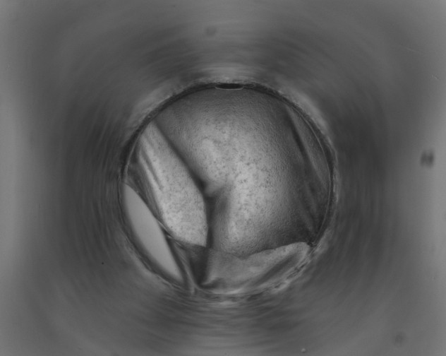 X0000090890105200708242010