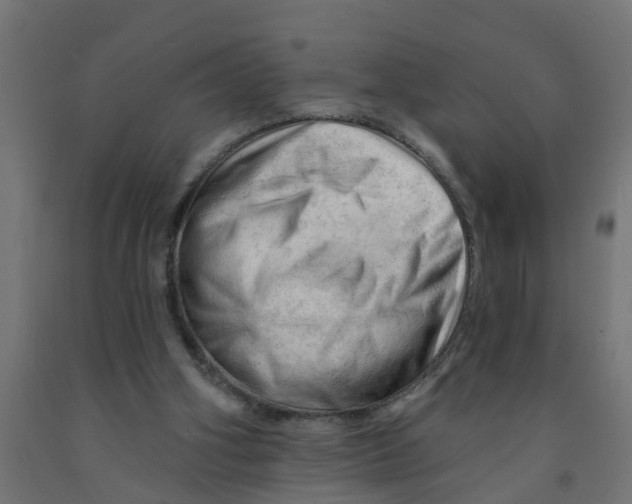 X0000090890106200708242010