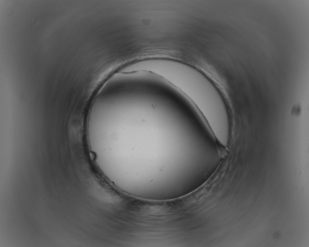 X0000090890107200708242010