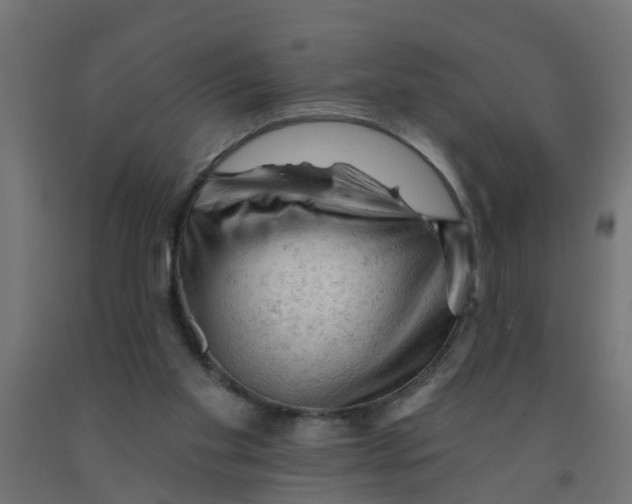 X0000090890109200708242010