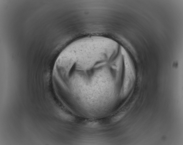 X0000090890113200708242010