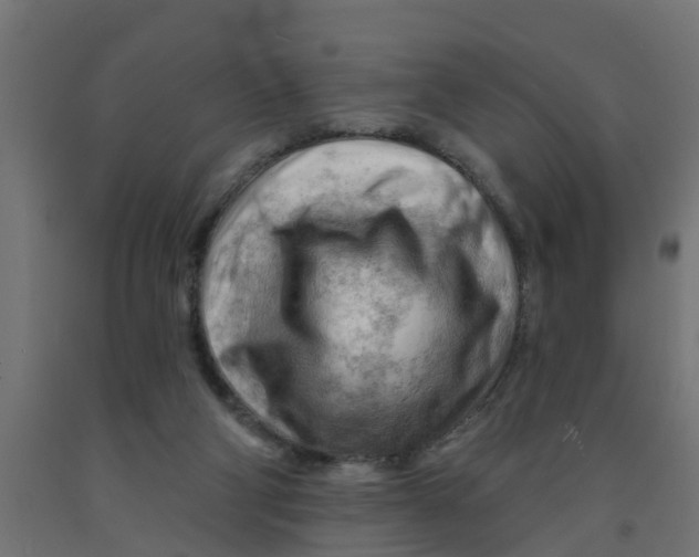 X0000090890114200708242010