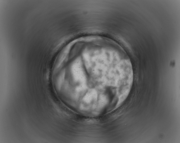 X0000090890115200708242010