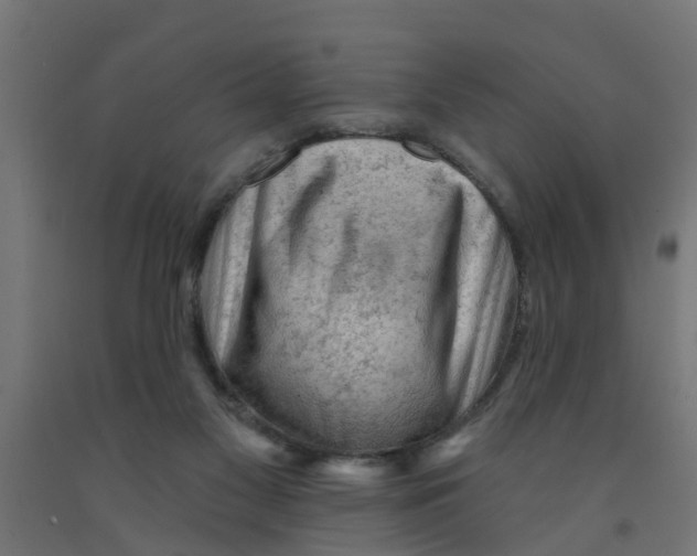 X0000090890117200708242010