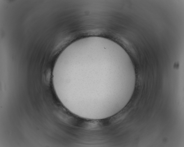 X0000090890118200708242010