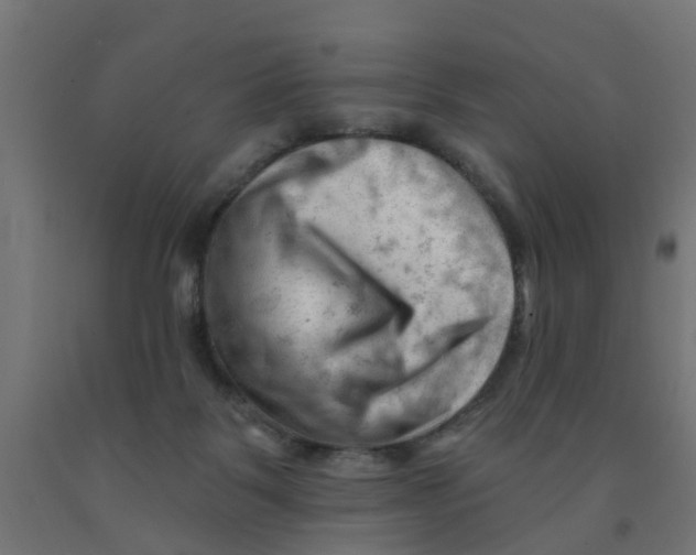 X0000090890123200708242010