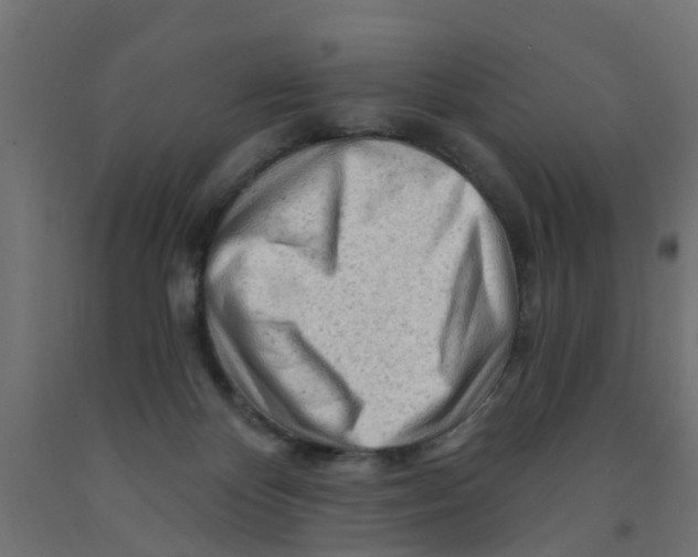 X0000090890124200708242010