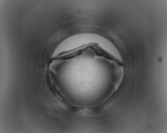 X0000090890125200708242010