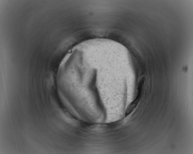 X0000090890128200708242010