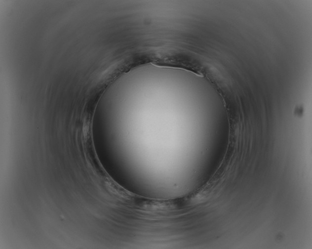 X0000090890129200708242010