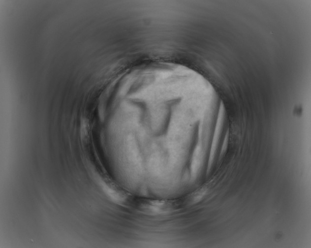 X0000090890130200708242010