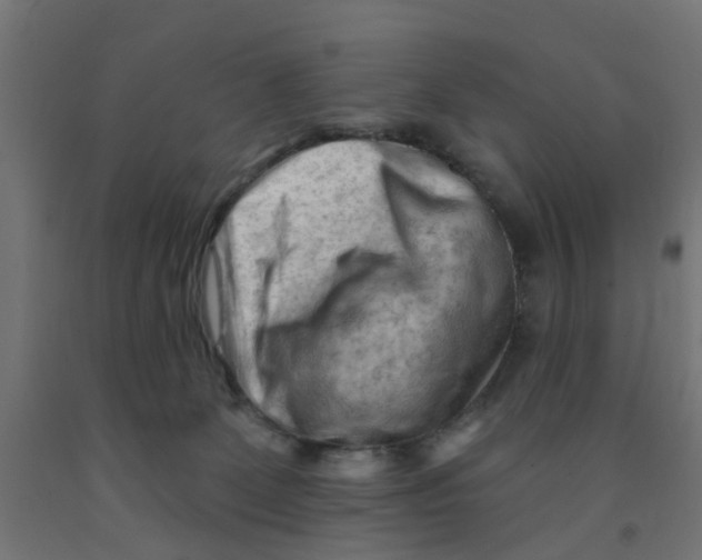 X0000090890131200708242010