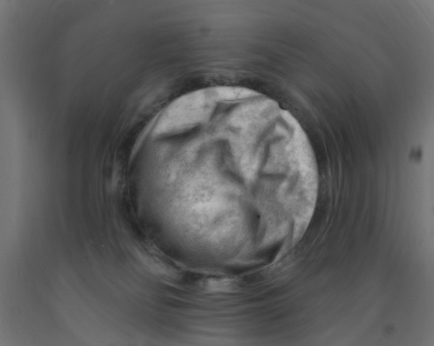 X0000090890134200708242010