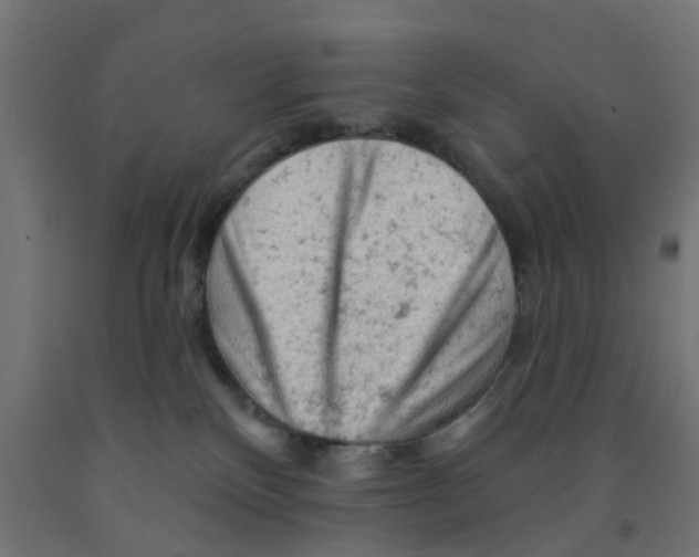 X0000090890136200708242010