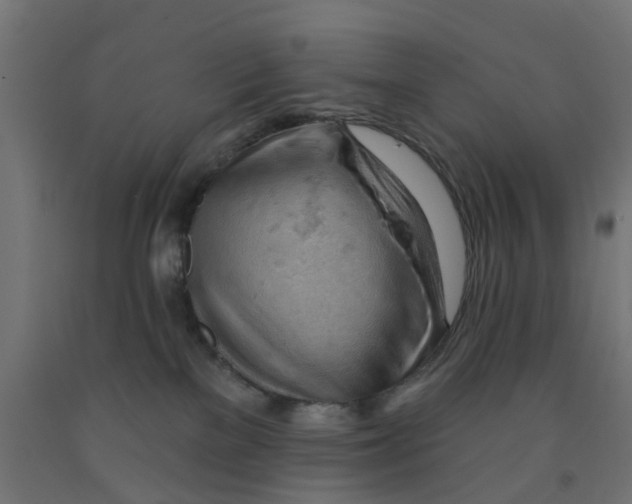 X0000090890137200708242010