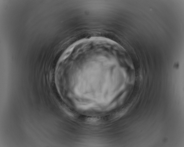 X0000090890139200708242010