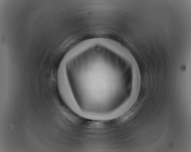 X0000090890140200708242010