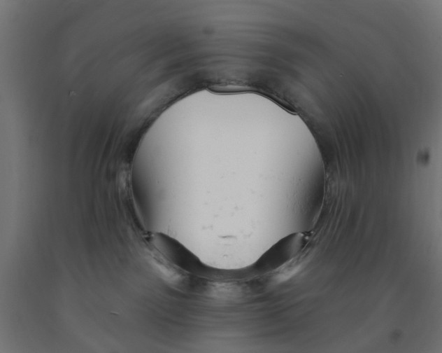 X0000090890141200708242010