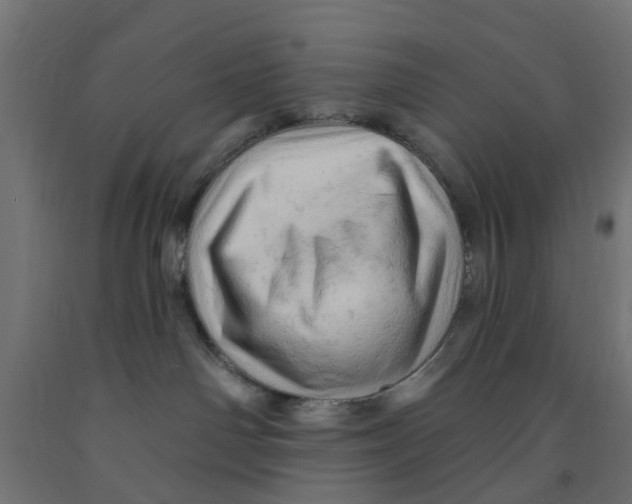 X0000090890142200708242010