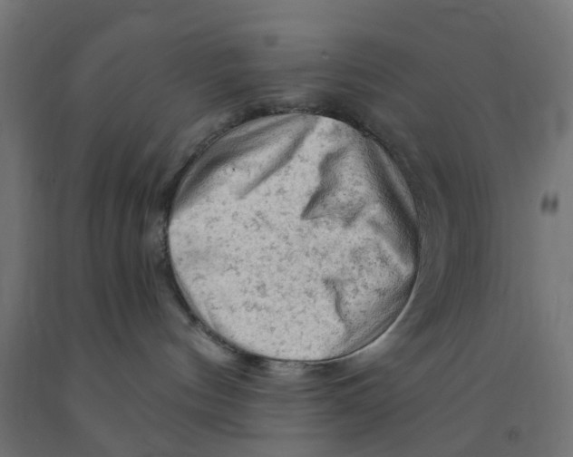 X0000090890144200708242010