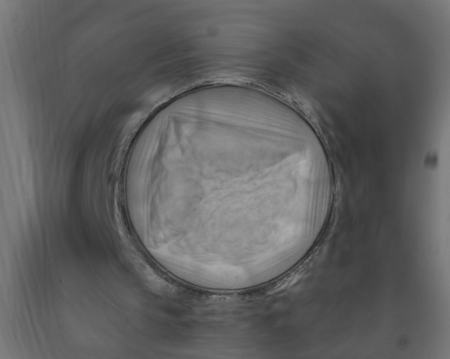 X0000090890145200708242009