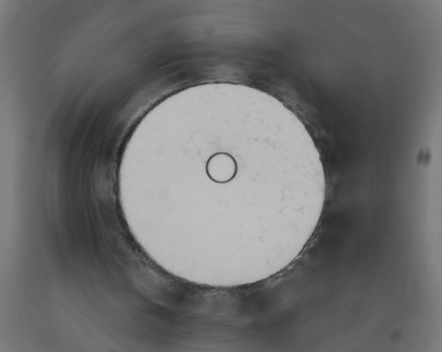 X0000090890146200708242009