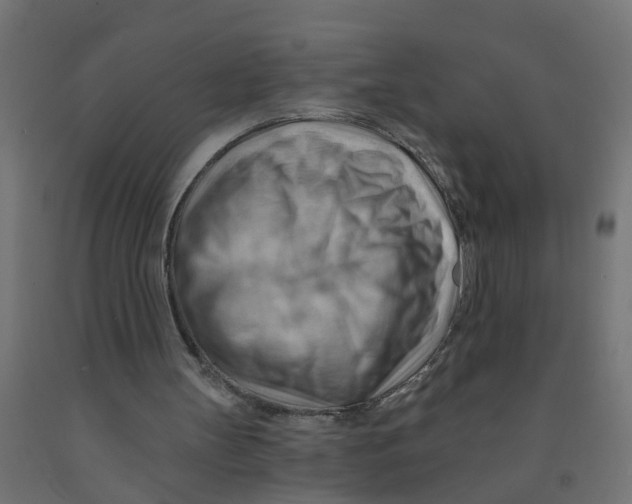 X0000090890147200708242009