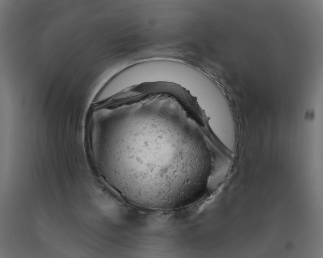 X0000090890148200708242009