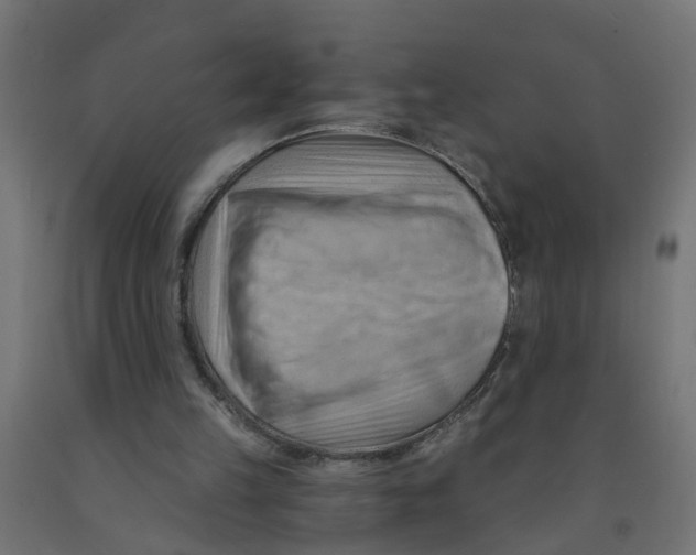 X0000090890149200708242009