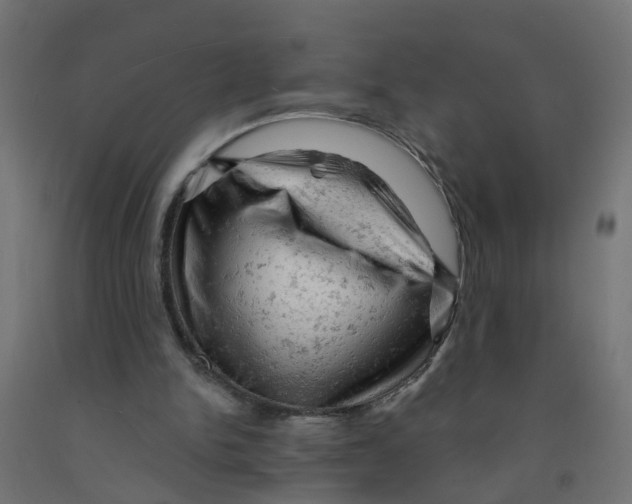 X0000090890150200708242009